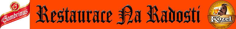 Primary Raster logo